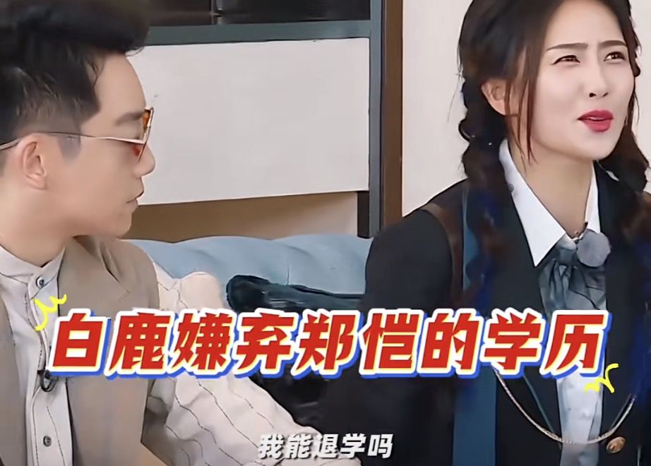 敢质疑郑恺的实力吗? 2