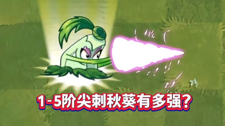 近战天花板!尖刺秋葵1-5阶战力逆天进化史截图