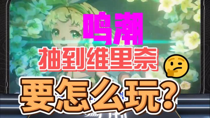鸣潮:抽到五星角色维里奈应该怎么玩?截图