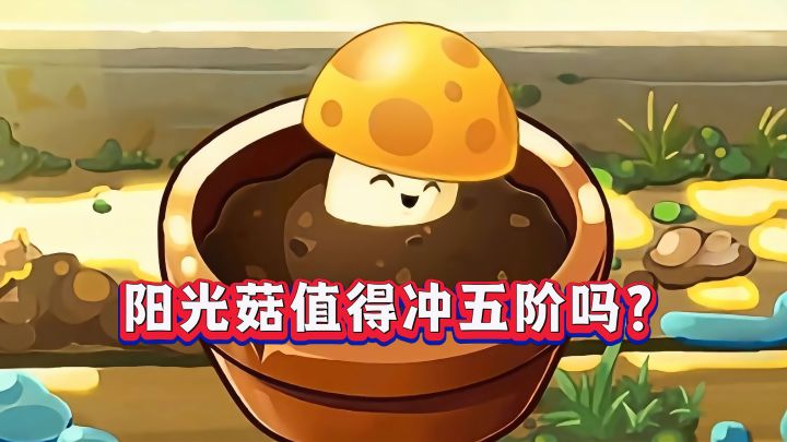 阳光菇:废卡or神卡?五阶到底值不值得冲?截图