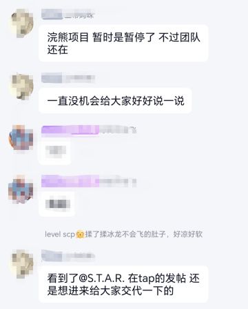 《浣熊不高兴》的游戏情况