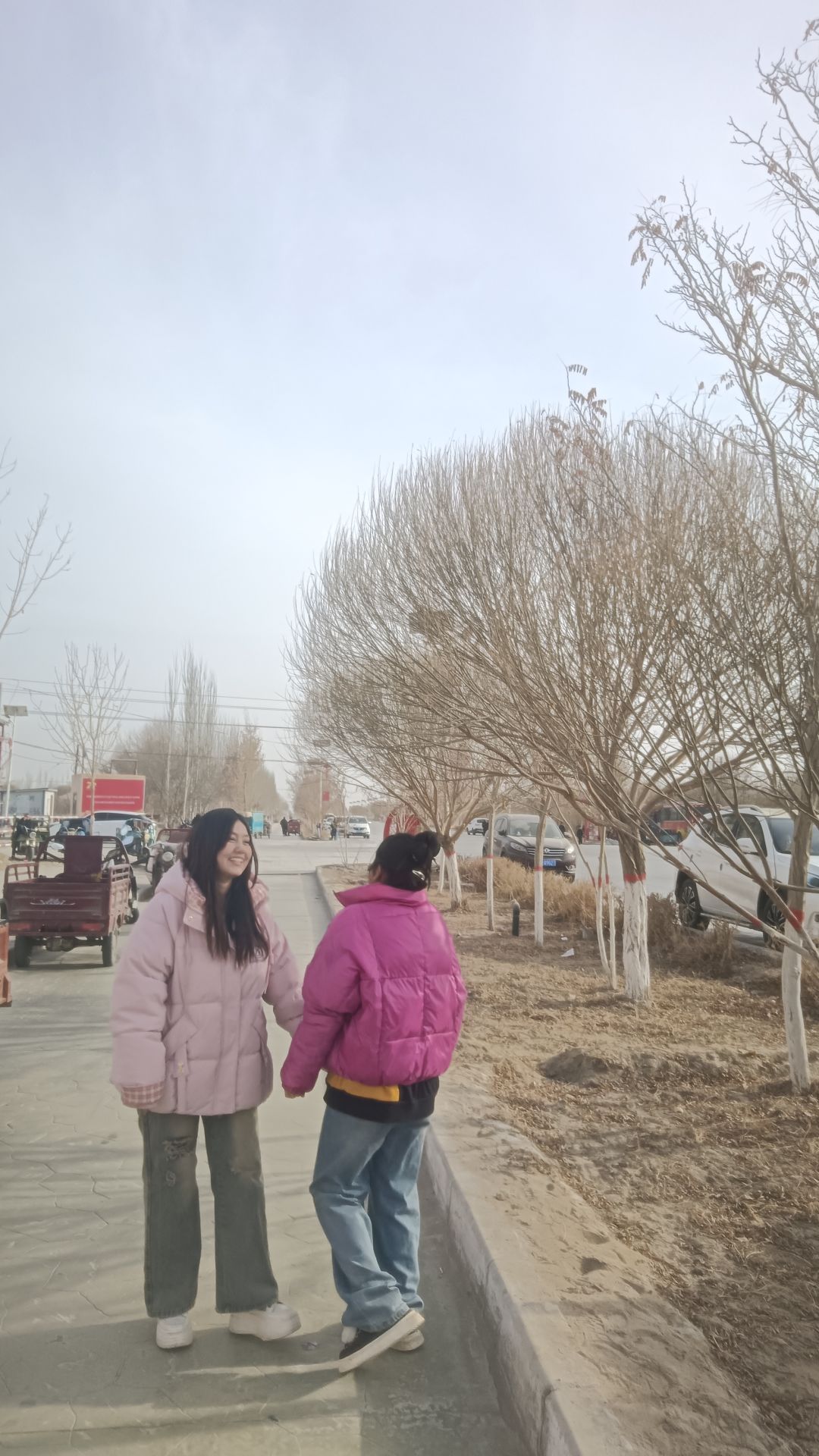 动态图片 16