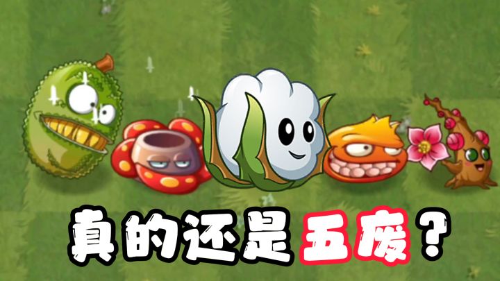 海底世界版本下的五废,棉小雪要洗刷旧名!截图