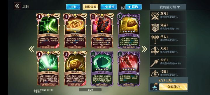 大佬们帮我看看剑盾,感觉我这伤害太低了截图