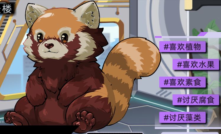 小熊猫攻略 2
