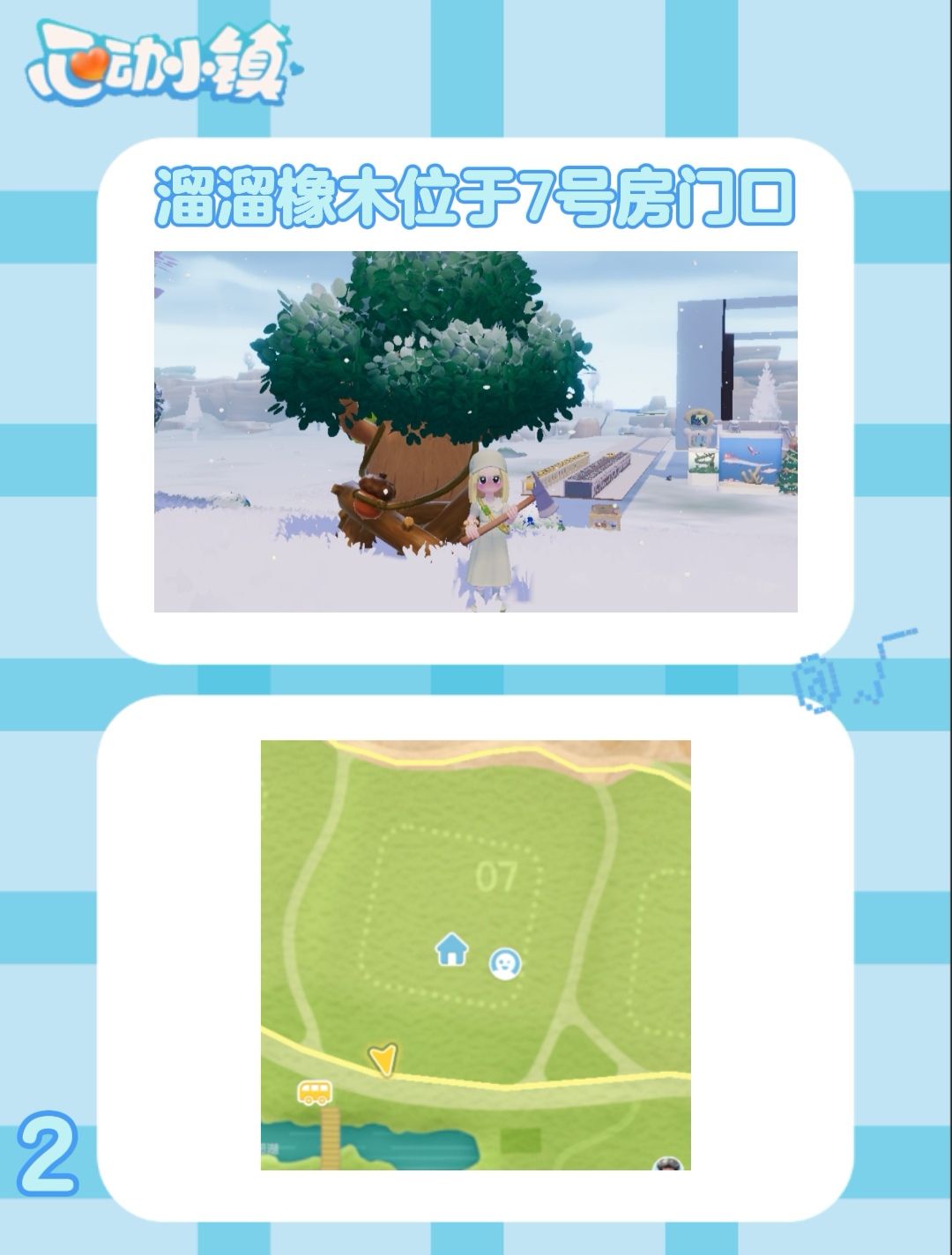 1月14日 萤石-溜溜橡木-雨天朵朵 3