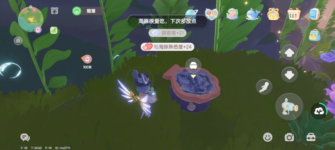 喂养海豚不划算操作 2