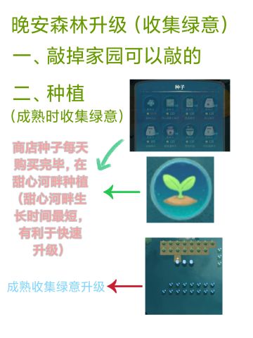 晚安森林新手开荒攻略！