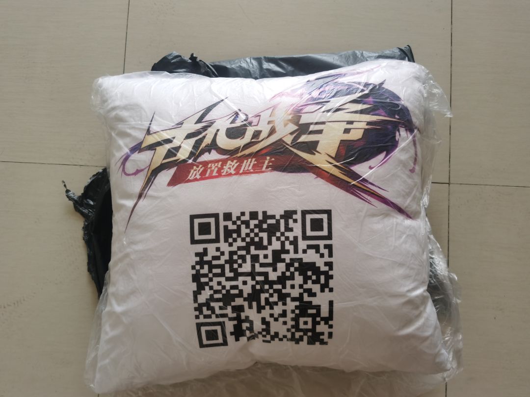 抱枕到啦! 2