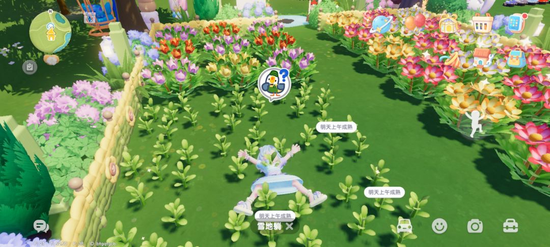 花朵成熟问题 3