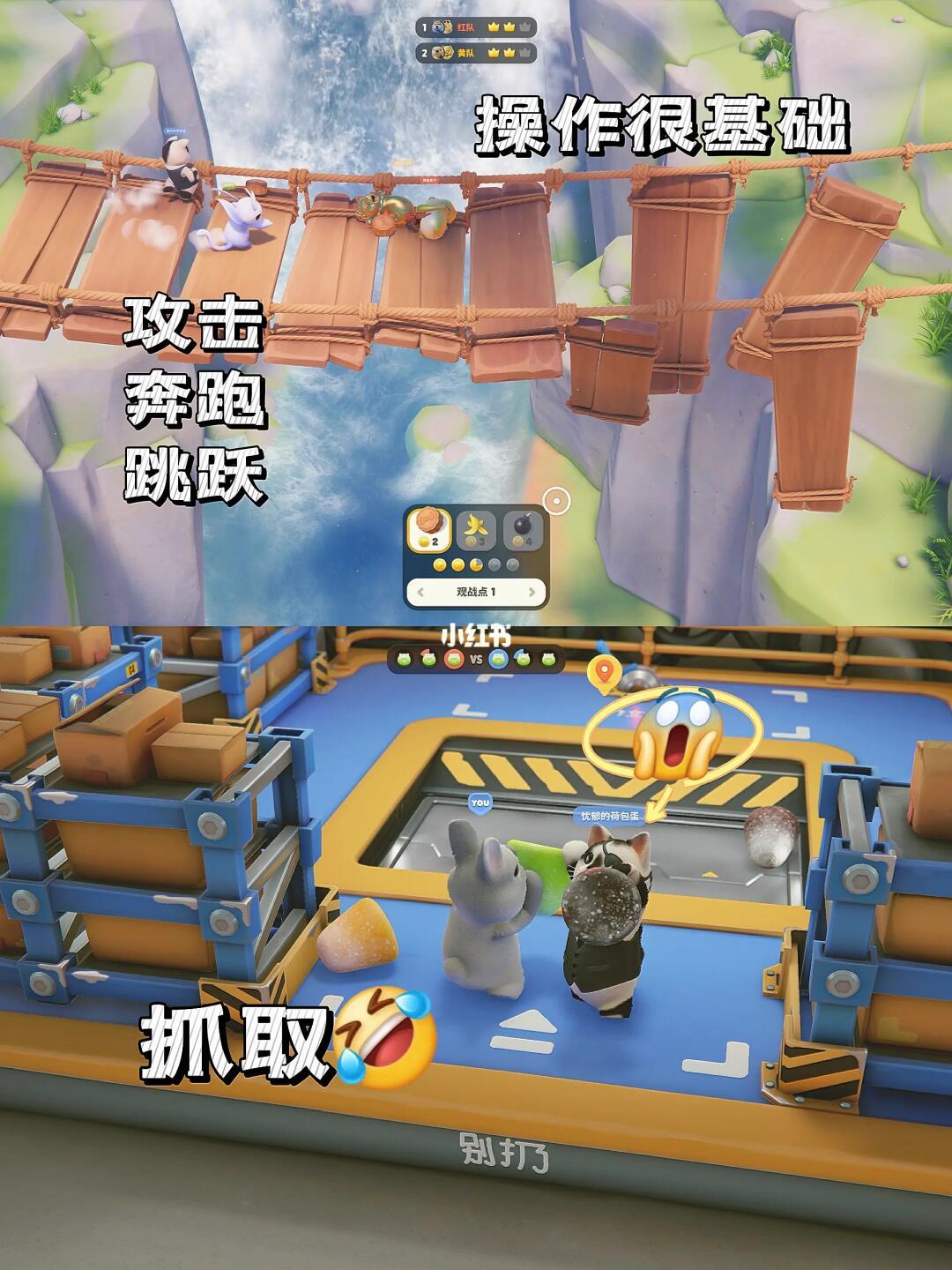 《猛兽派对》｜火热小动物派对😍可爱满分 3