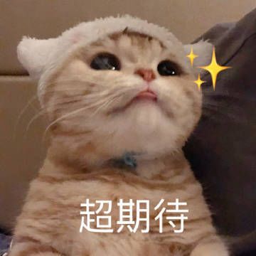 坐等先锋服更新完毕!! 1