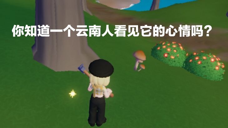 懂一个云南人对于它的含金量吗? 1