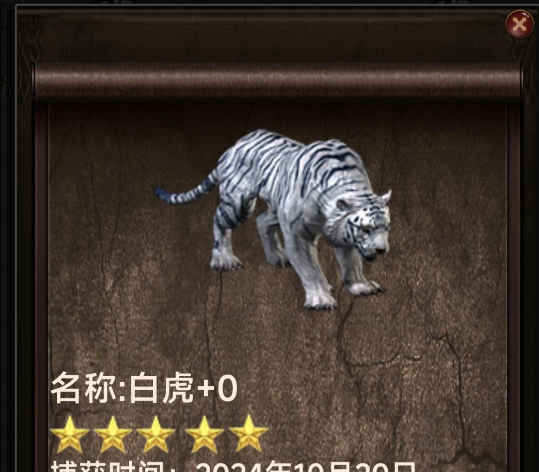 剑侠开局，一人一剑走江湖截图