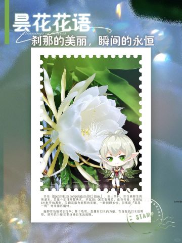 《小花仙：拉贝尔之约》【每周花精灵王】第二期：暗影昙花精灵王