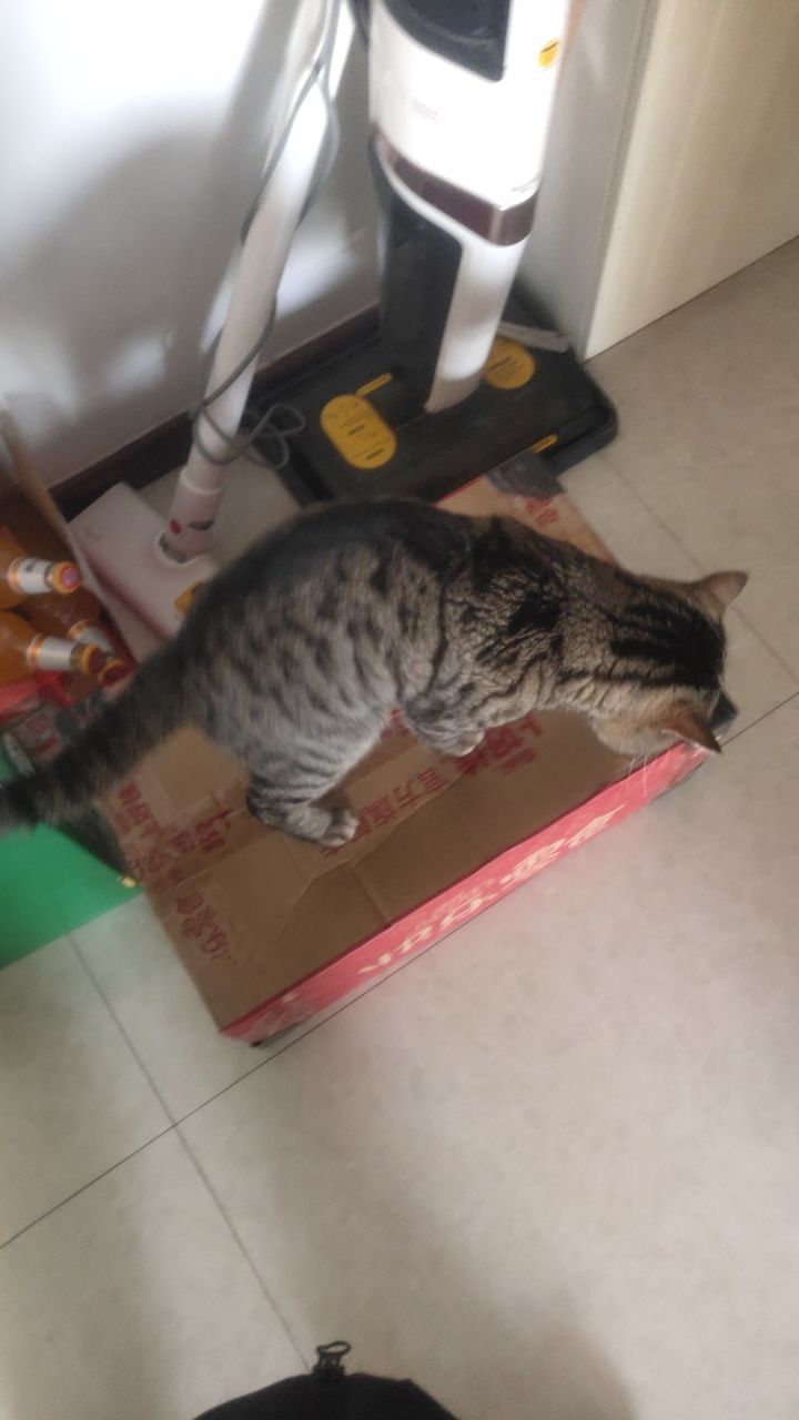最奢侈的一集(截图