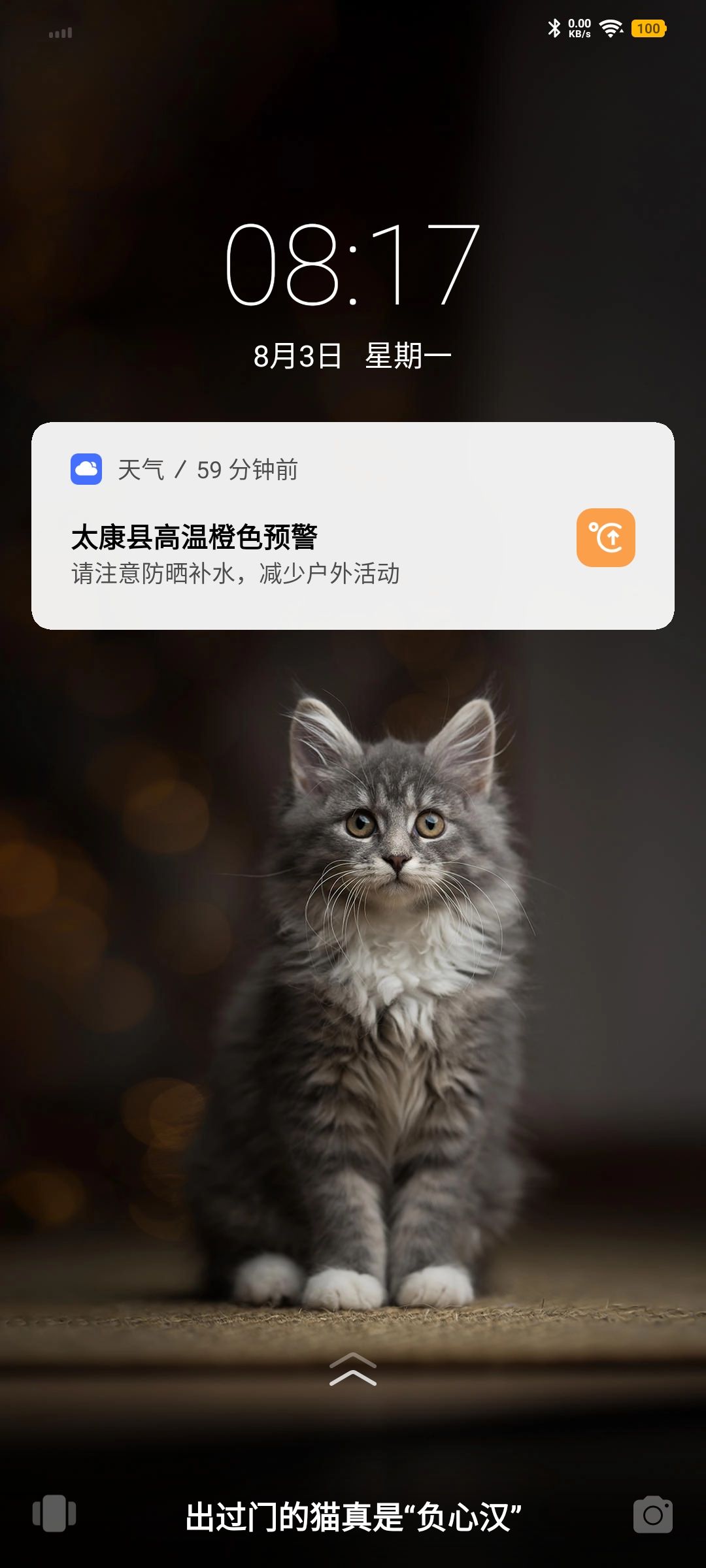 动态图片 11