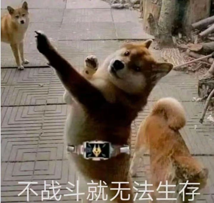 游乐园给我玩吐了截图