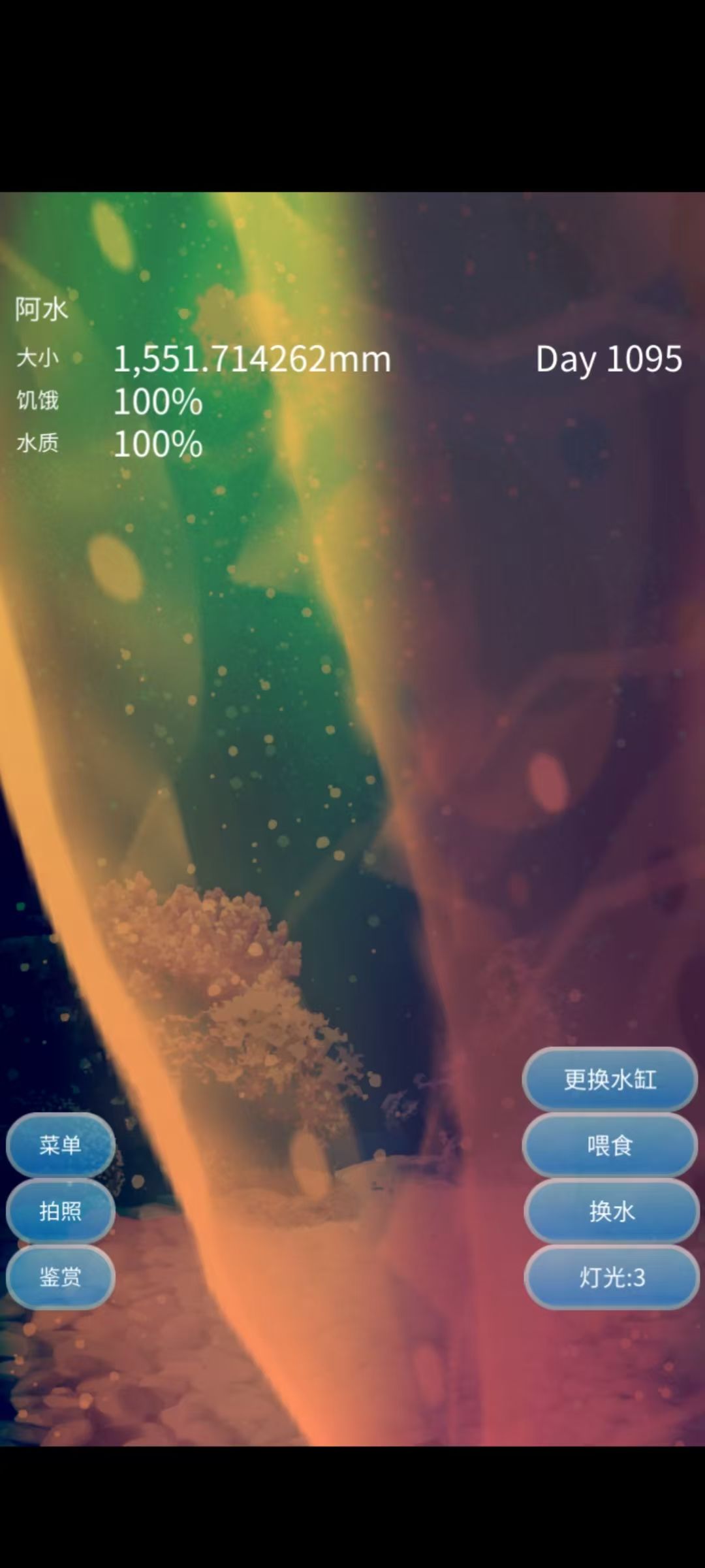 今天是它的三岁生日 2