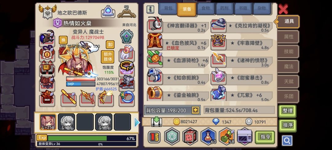 求大佬配装 4