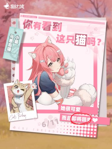 🐾寻猫启事：你有看到马恩岛猫吗？