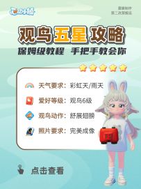 心动小镇 观鸟五星保姆级攻略，详细教程
