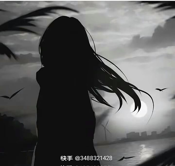 动态图片 4