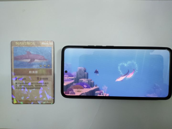 现在两只粉海豚都在我手中截图