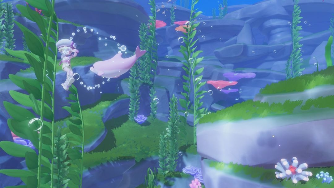 🐥 4
