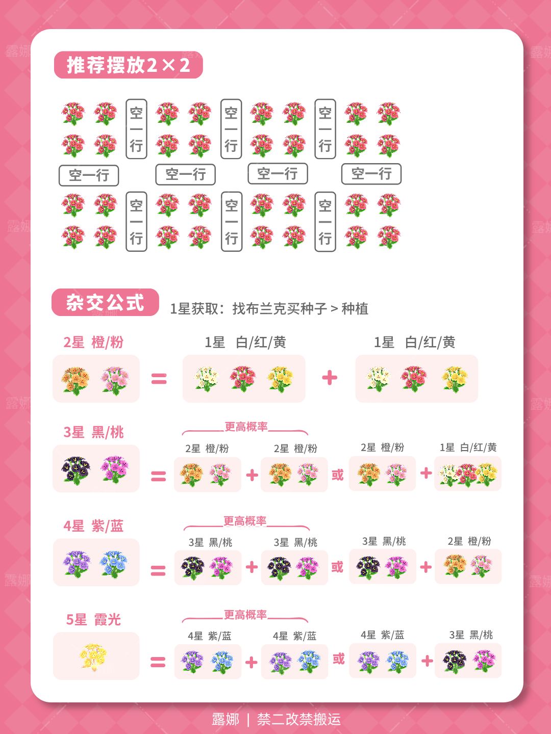 陇上金颂 露薇花 杂交攻略 五星获取方式 3