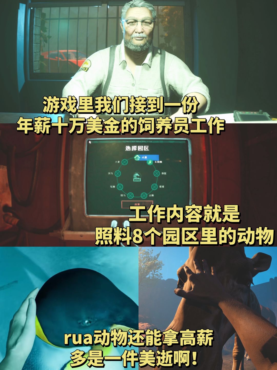 年薪70万!你愿意来这样的动物园工作吗? 2
