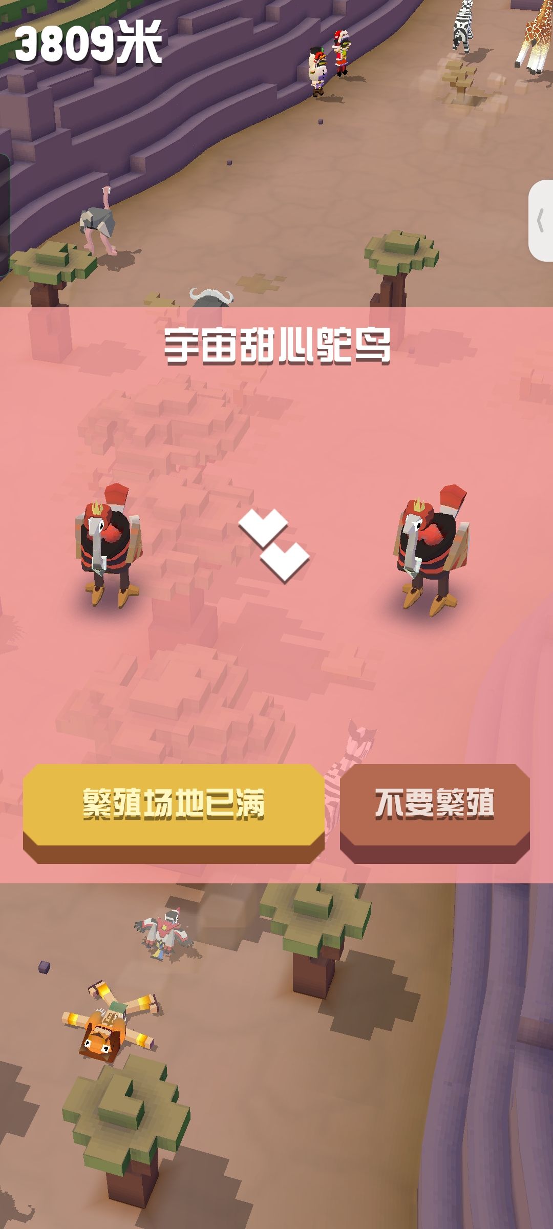 新手 2