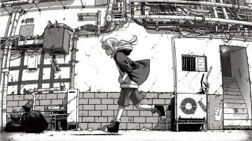 新手容易踩坑的一些点（仅供参考）