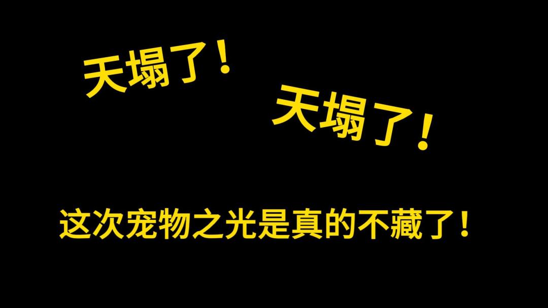 video-4659201