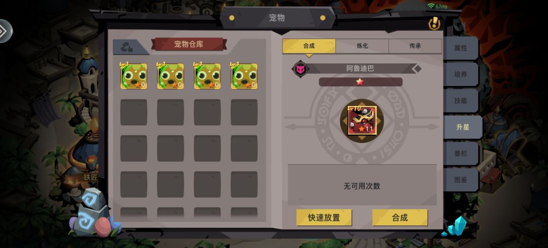 宠物升星问题 1