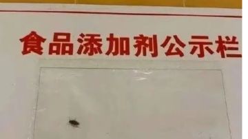 【幻境摆烂帖-改改3】自己摆自己