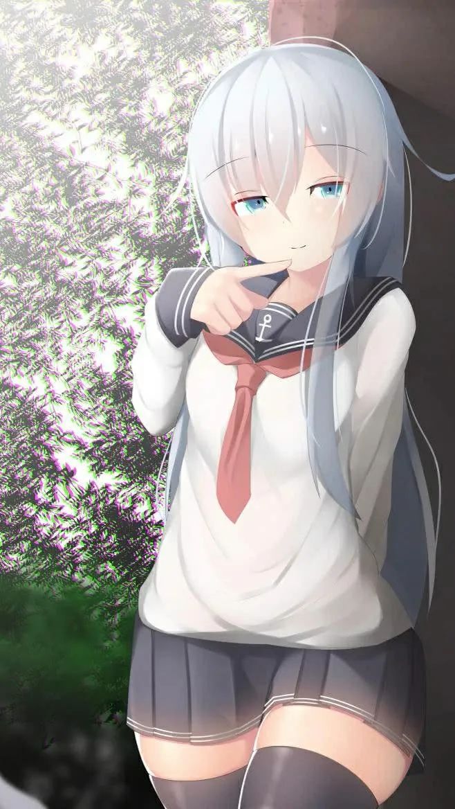 动态图片 2