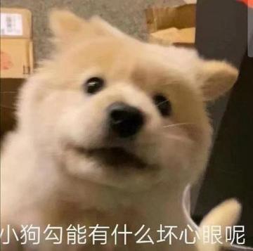 【新手无脑暴力入门】 啥都不是事