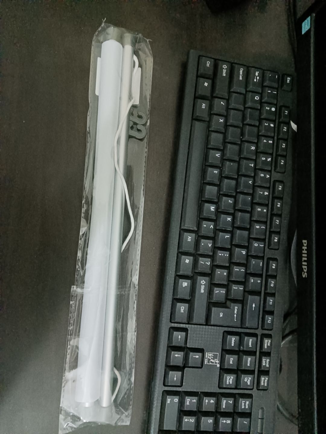 禁闭者挂画到啦!是瑟琳! 1