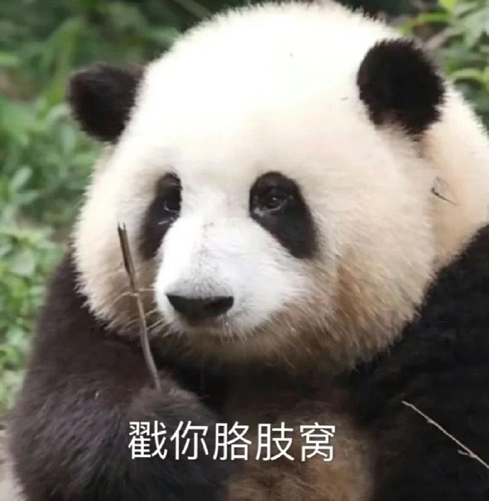求一个交流群 1