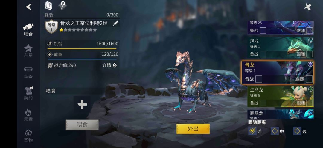 同样的龙能养两条吗 2