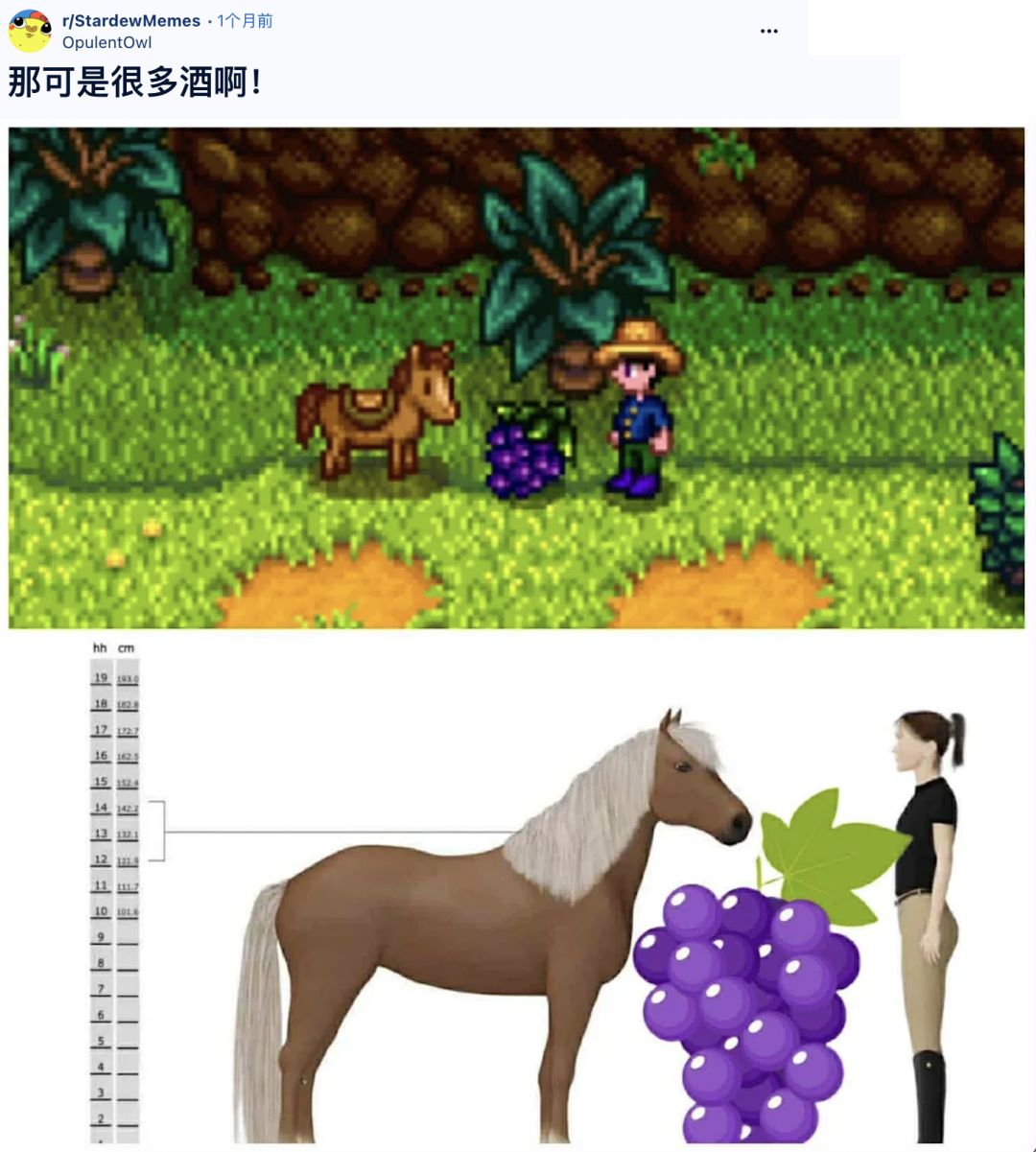 星露谷超巨葡萄截图