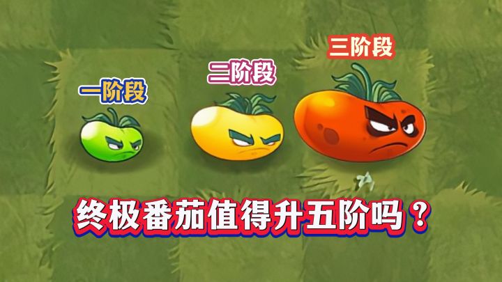 战力飙升还是打水漂?终极番茄1-5阶实测!截图