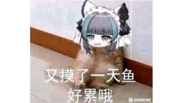 宠物，仙灵，元神（2026-2-24更新曦幻元神）