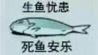 怎么换号啊啊啊啊啊 1