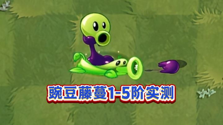 豌豆藤蔓真的是最强藤蔓植物吗?1-5阶实测截图