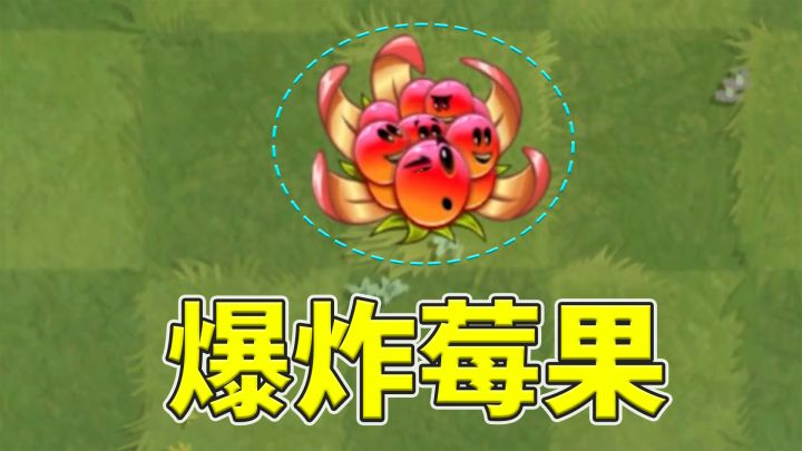 植物大战僵尸2:爆炸莓果,一株神奇的植物!截图