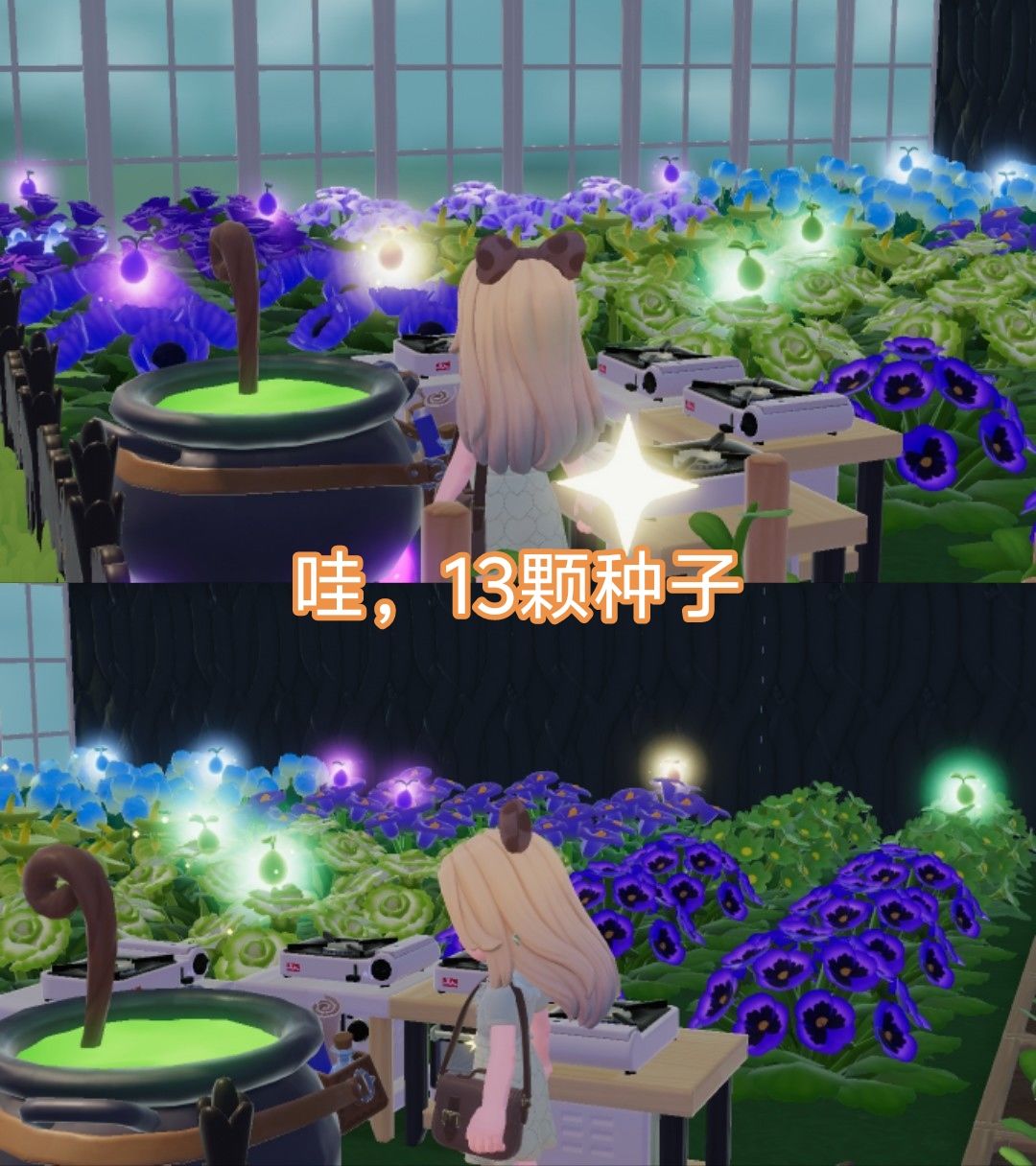 12月5日攻略 3