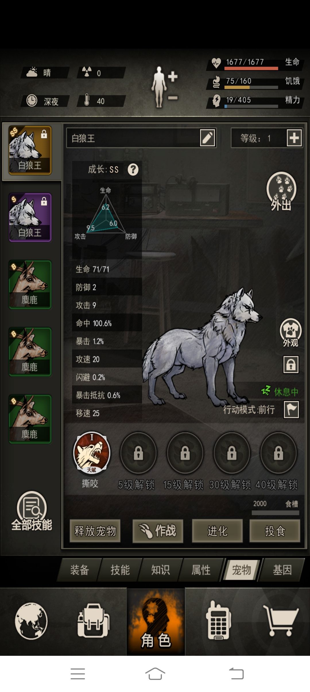 脑子一抽,宠物十连 3