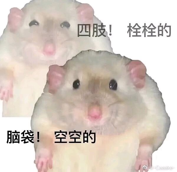 不是，我记得以前也不是这样啊 2